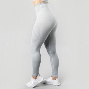 Alphalete Cloud Grey Halo Leggings